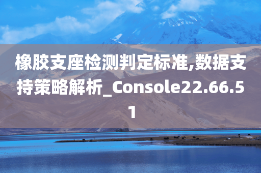 橡胶支座检测判定标准,数据支持策略解析_Console22.66.51