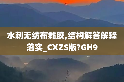 水刺无纺布黏胶,结构解答解释落实_CXZS版?GH9