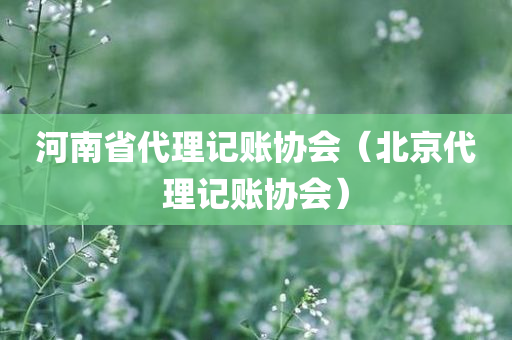 河南省代理记账协会（北京代理记账协会）