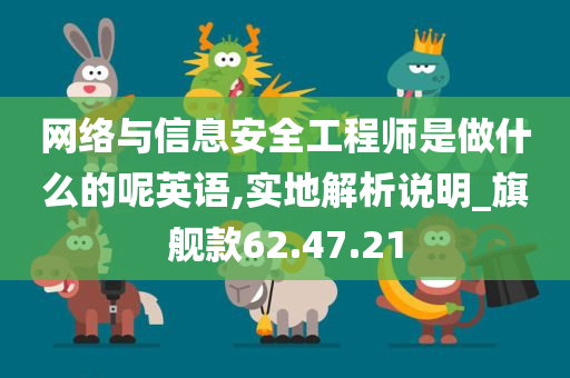 网络与信息安全工程师是做什么的呢英语,实地解析说明_旗舰款62.47.21