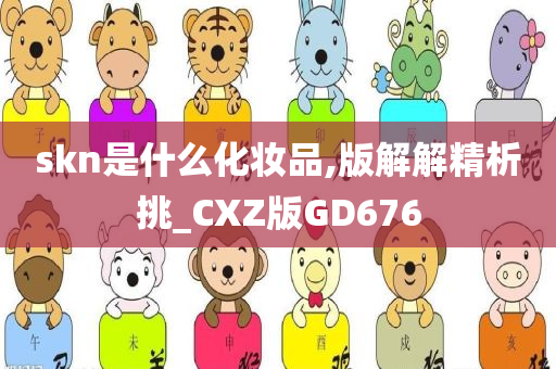 skn是什么化妆品,版解解精析挑_CXZ版GD676