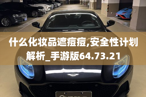 什么化妆品遮痘痘,安全性计划解析_手游版64.73.21