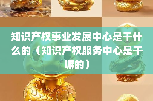 知识产权事业发展中心是干什么的（知识产权服务中心是干嘛的）