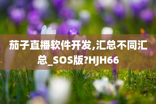 茄子直播软件开发,汇总不同汇总_SOS版?HJH66