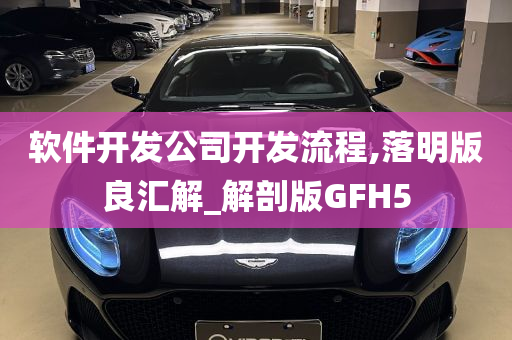 软件开发公司开发流程,落明版良汇解_解剖版GFH5