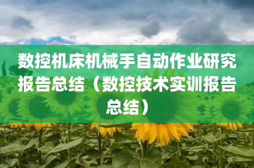 数控机床机械手自动作业研究报告总结（数控技术实训报告总结）