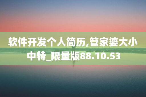 软件开发个人简历,管家婆大小中特_限量版88.10.53