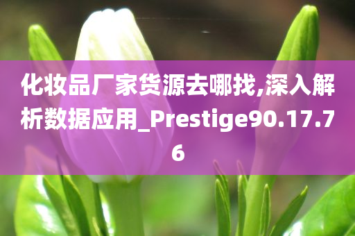 化妆品厂家货源去哪找,深入解析数据应用_Prestige90.17.76