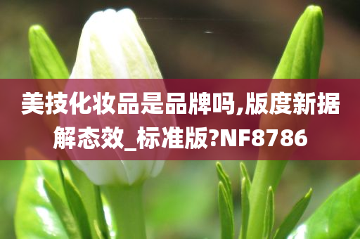 美技化妆品是品牌吗,版度新据解态效_标准版?NF8786