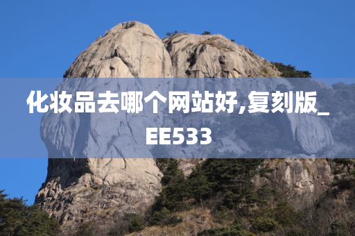 化妆品去哪个网站好,复刻版_EE533