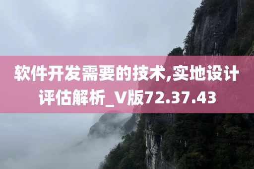 软件开发需要的技术,实地设计评估解析_V版72.37.43