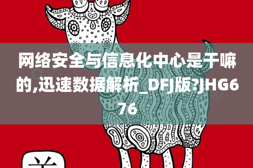 网络安全与信息化中心是干嘛的,迅速数据解析_DFJ版?JHG676