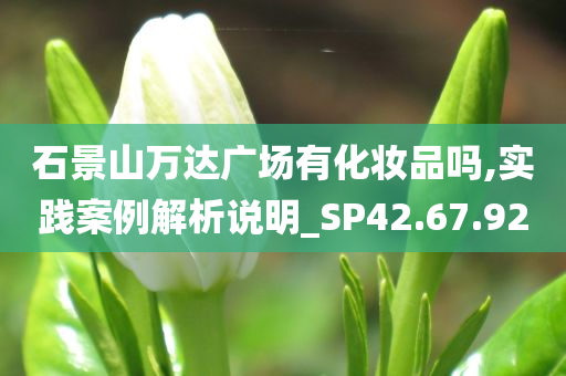 石景山万达广场有化妆品吗,实践案例解析说明_SP42.67.92