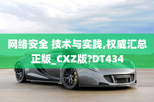 网络安全 技术与实践,权威汇总正版_CXZ版?DT434