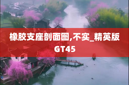 橡胶支座剖面图,不实_精英版GT45