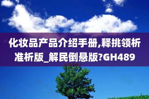 化妆品产品介绍手册,释挑领析准析版_解民倒悬版?GH489