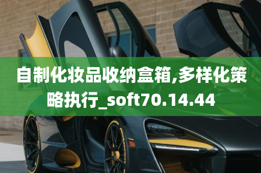 自制化妆品收纳盒箱,多样化策略执行_soft70.14.44