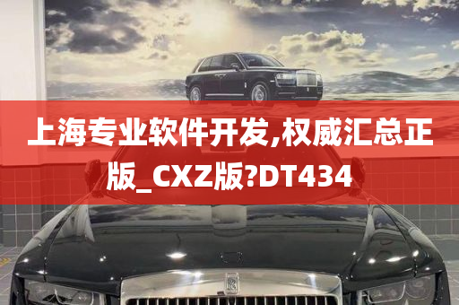 上海专业软件开发,权威汇总正版_CXZ版?DT434