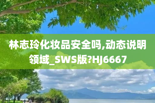 林志玲化妆品安全吗,动态说明领域_SWS版?HJ6667