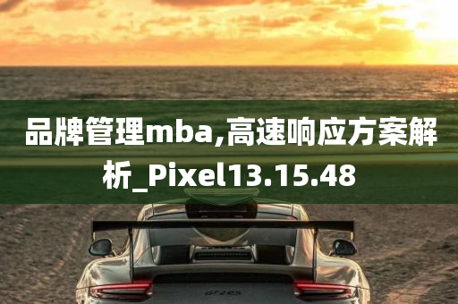 品牌管理mba,高速响应方案解析_Pixel13.15.48