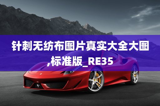 针刺无纺布图片真实大全大图,标准版_RE35