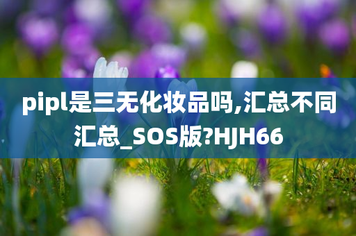 pipl是三无化妆品吗,汇总不同汇总_SOS版?HJH66