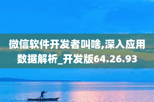 微信软件开发者叫啥,深入应用数据解析_开发版64.26.93