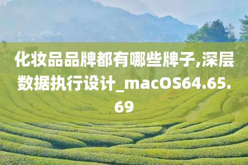 化妆品品牌都有哪些牌子,深层数据执行设计_macOS64.65.69