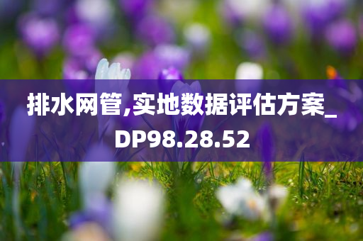 排水网管,实地数据评估方案_DP98.28.52