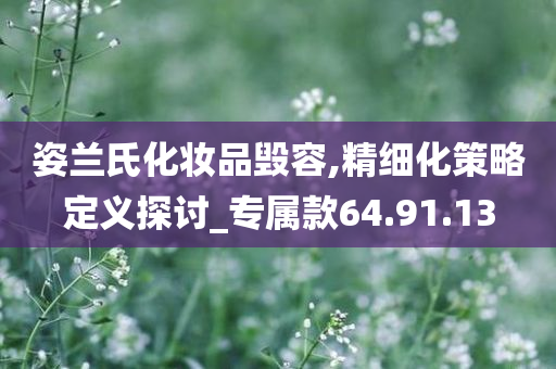 姿兰氏化妆品毁容,精细化策略定义探讨_专属款64.91.13