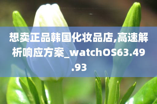 想卖正品韩国化妆品店,高速解析响应方案_watchOS63.49.93