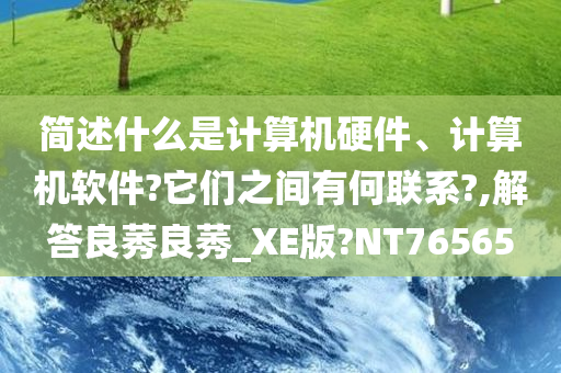 简述什么是计算机硬件、计算机软件?它们之间有何联系?,解答良莠良莠_XE版?NT76565