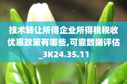 技术转让所得企业所得税税收优惠政策有哪些,可靠数据评估_3K24.35.11