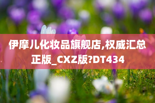 伊摩儿化妆品旗舰店,权威汇总正版_CXZ版?DT434