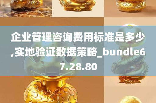 企业管理咨询费用标准是多少,实地验证数据策略_bundle67.28.80