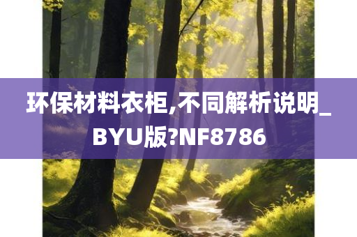 环保材料衣柜,不同解析说明_BYU版?NF8786