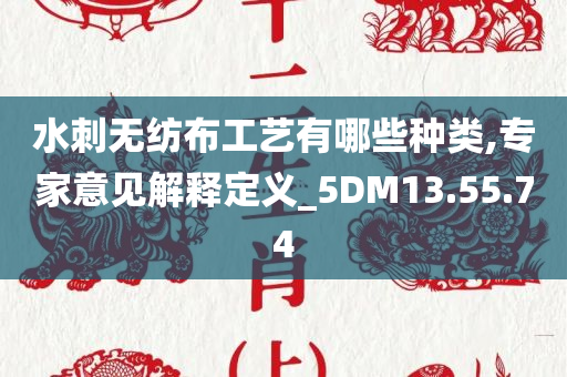 水刺无纺布工艺有哪些种类,专家意见解释定义_5DM13.55.74