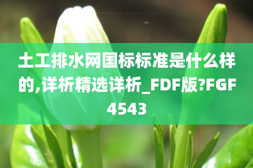 土工排水网国标标准是什么样的,详析精选详析_FDF版?FGF4543