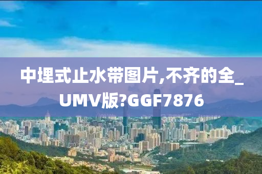 中埋式止水带图片,不齐的全_UMV版?GGF7876