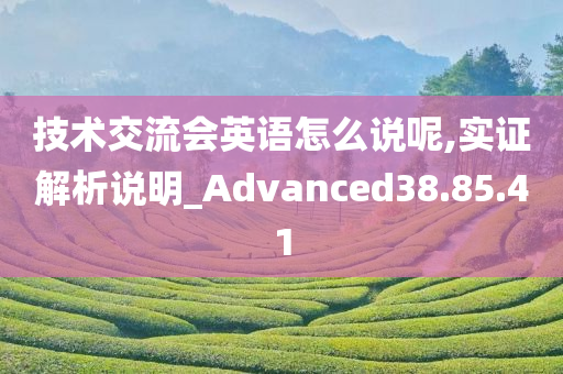 技术交流会英语怎么说呢,实证解析说明_Advanced38.85.41