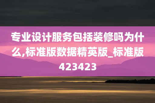 专业设计服务包括装修吗为什么,标准版数据精英版_标准版423423