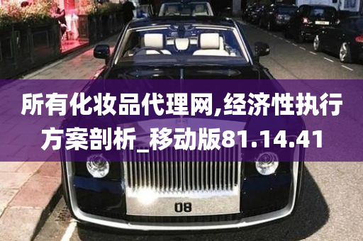 所有化妆品代理网,经济性执行方案剖析_移动版81.14.41