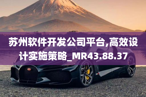 苏州软件开发公司平台,高效设计实施策略_MR43.88.37