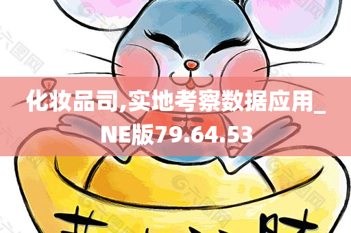 化妆品司,实地考察数据应用_NE版79.64.53