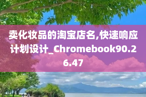 卖化妆品的淘宝店名,快速响应计划设计_Chromebook90.26.47