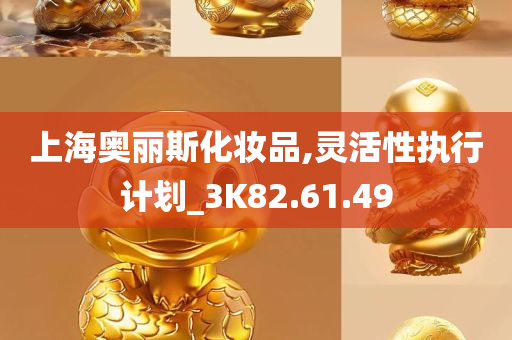 上海奥丽斯化妆品,灵活性执行计划_3K82.61.49