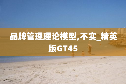 品牌管理理论模型,不实_精英版GT45