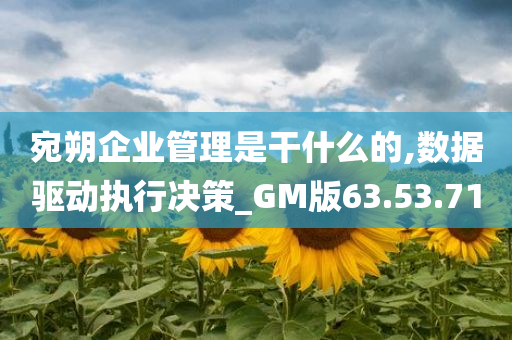 宛朔企业管理是干什么的,数据驱动执行决策_GM版63.53.71