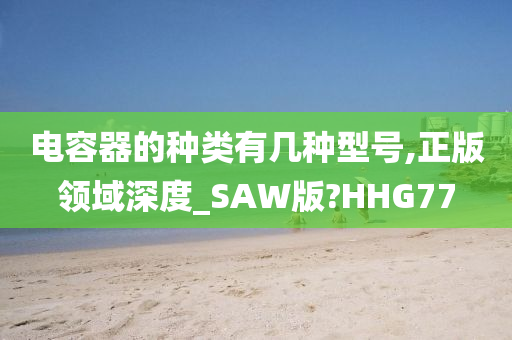 电容器的种类有几种型号,正版领域深度_SAW版?HHG77