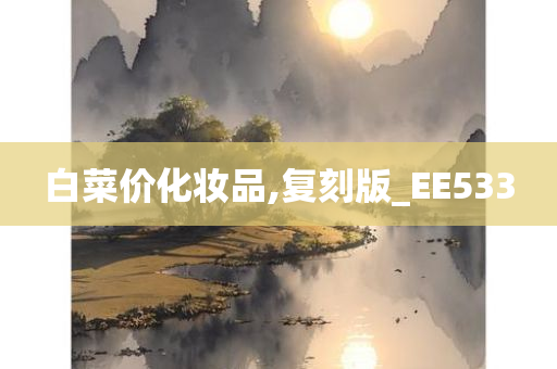 白菜价化妆品,复刻版_EE533